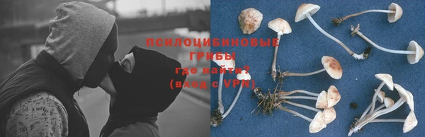 хмурый Медногорск