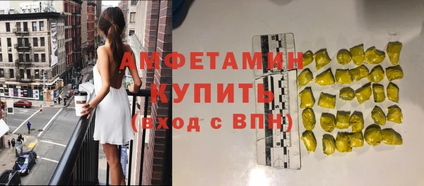 МДПВ Михайлов