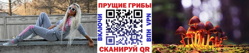 Купить закладки  Мещовск  Галлюциногенные грибы Psilocybine cubensis 